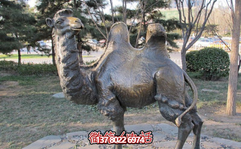 創意大型玻璃鋼駱駝雕塑，在草地上擺放，一眼回頭