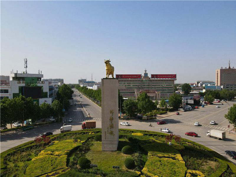 城市景觀銅雕牛 城市景觀銅雕牛